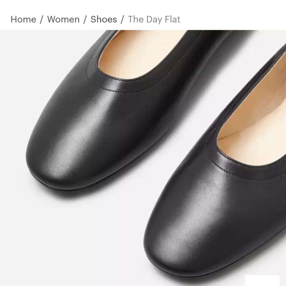 Everlane Day Flat black